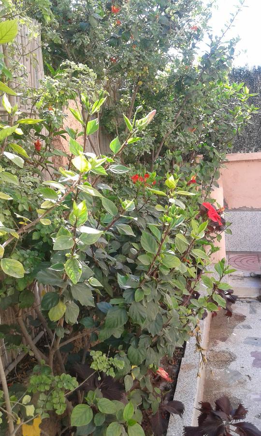 Adambeach Agadir Exterior foto
